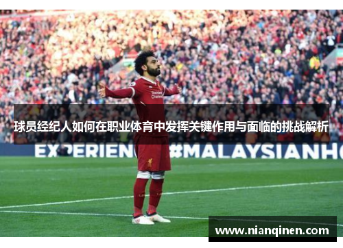 球员经纪人如何在职业体育中发挥关键作用与面临的挑战解析
